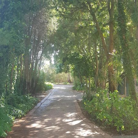 Te Amo Guesthouse Stellenbosch Eksteriør billede