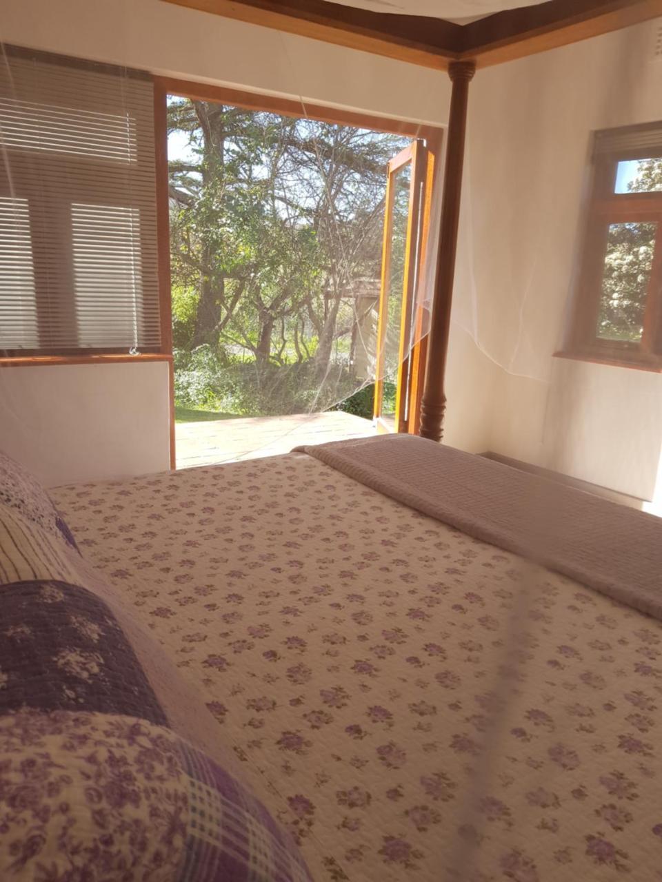 Te Amo Guesthouse Stellenbosch Eksteriør billede